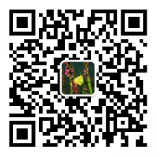 哔咔漫画
有限公司